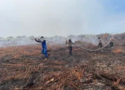 Medan Sulit dan Angin Kencang Hambat Pemadaman Karhutla