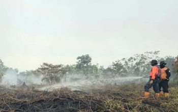 Dua Hari Dipadamkan, Api Karhutla di Aceh Barat Masih Menjalar