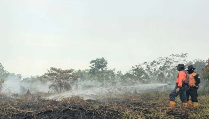 Dua Hari Dipadamkan, Api Karhutla di Aceh Barat Masih Menjalar