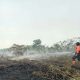 Dua Hari Dipadamkan, Api Karhutla di Aceh Barat Masih Menjalar
