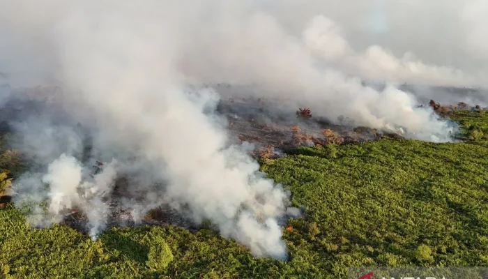 Karhutla Aceh Barat Hanguskan 5,5 Hektar Lahan Gambut,