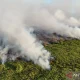 Karhutla Aceh Barat Hanguskan 5,5 Hektar Lahan Gambut,