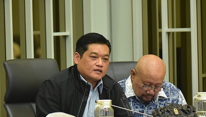 Ilham Pangestu: Segera Pulihkan Pertanian dan Perikanan di Aceh