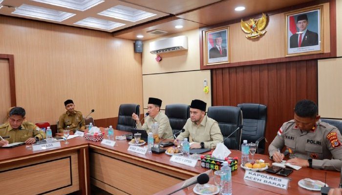Tak Ingin Bergantung Dana Pusat, Aceh Barat Bentuk Satgas PAD