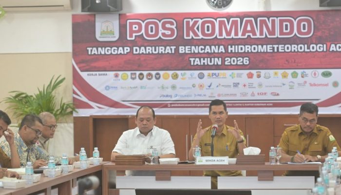 Pemulihan Pascabanjir, Sekda Aceh Dorong Optimalisasi Kayu Hanyutan