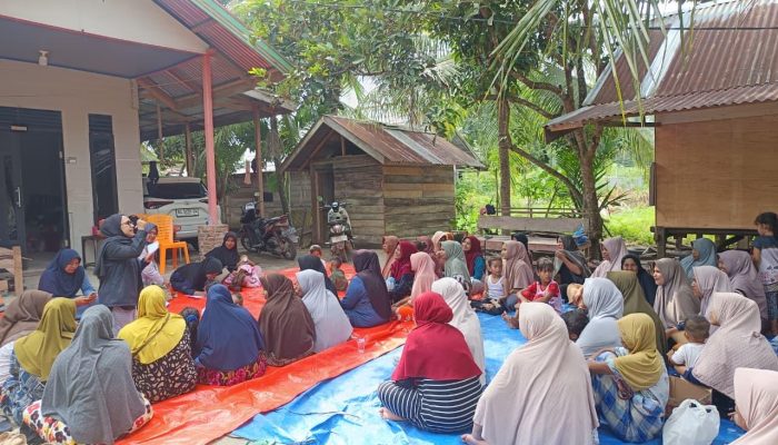 Isu Lingkungan Mengemuka dalam Upaya Pemulihan Pascabencana di Balee Panah Bireuen
