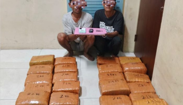 Polres Aceh Tenggara Gagalkan Peredaran 50,7 Kg Ganja