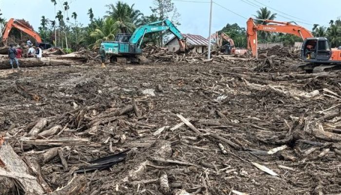 Kemenhut Kerahkan Puluhan Alat Berat Bersihkan Material Kayu