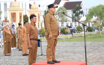 Bupati Ayahwa Lantik 8.094 PPPK Paruh Waktu Besok, Terbanyak di Aceh