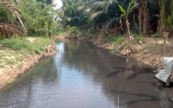 Kondisi air sungai yang berubah menjadi hitam pekat diduga tercemar limbah pabrik pengolahan sagu di Gampong Alue Bilie Rayeuk, Kecamatan Baktiya, Aceh Utara