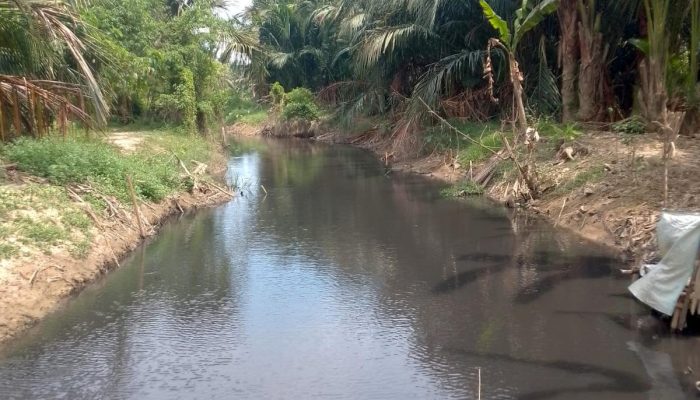 Air Sungai Berubah Hitam Pekat, Polisi Periksa Pabrik Sagu di Baktiya