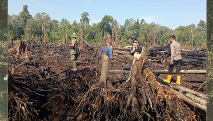 Karhutla Diantisipasi Ketat, TNI-Polri Sisir Wilayah Rawan