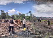 Karhutla 37,5 Hektare, Patroli Terpadu Aceh Selatan Diperketat