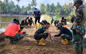 Jembatan Penghubung Bluka Teubai dan Bangka Jaya Hampir Rampung