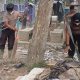 Brimob Lanjut Bersihkan Rumah Warga Aceh Tamiang