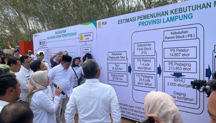 Hilirisasi Ayam Terintegrasi Resmi Dimulai di Lampung