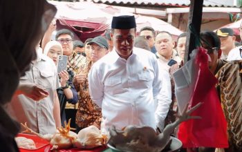 Mentan Sidak Pasar, Harga Ayam Turun Rp15 Ribu