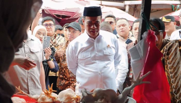Mentan Sidak Pasar, Harga Ayam Turun Rp15 Ribu
