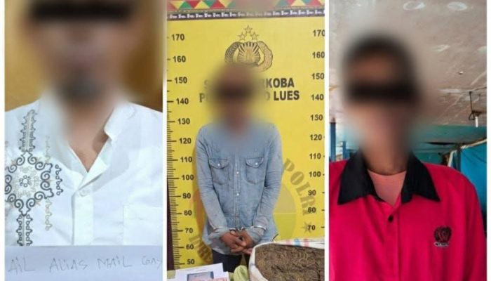 Polres Gayo Lues Bekuk Sindikat Ganja Antarprovinsi