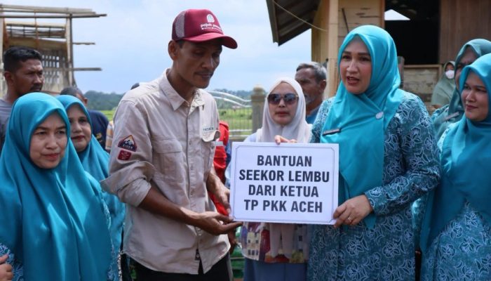 Kak Na Serahkan Sapi Meugang untuk Warga Sawang