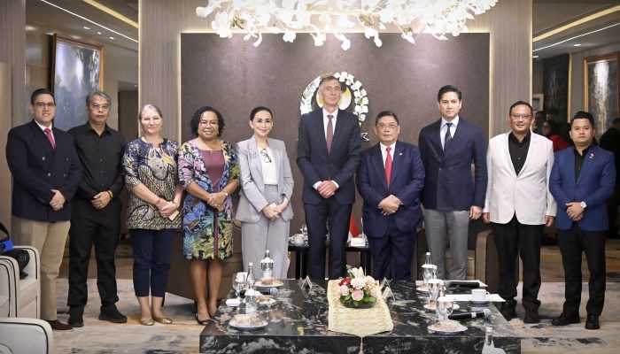 DPR RI Perkuat Kerja Sama Strategis dengan Jerman