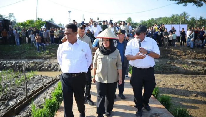 Pemerintah Siapkan Rp336 Miliar untuk Percepat Pemulihan Sawah Pascabanjir