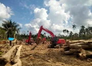 BNPB dan TNI Bersihkan Akses Jalan Terdampak Banjir di Geudumbak