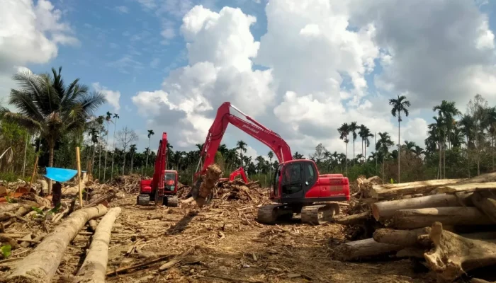 BNPB dan TNI Bersihkan Akses Jalan Terdampak Banjir di Geudumbak