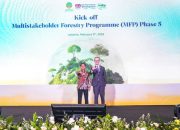 MFP Fase 5 Jadi Kunci Masa Depan Hutan Indonesia