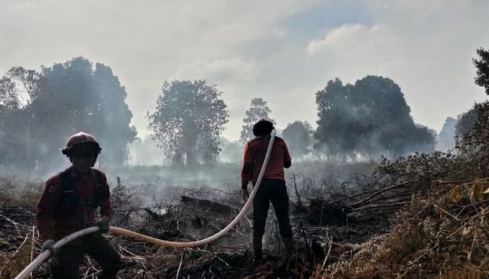 Riau Darurat Karhutla, Ratusan Personel Dikerahkan