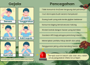 Ilustrasi ciri-ciri seseorang terkena penularan virus Nipah