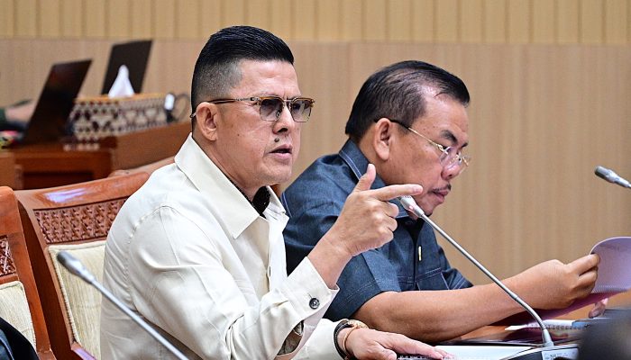 Soedeson Tandra Tolak Restorative Justice Kasus Kekerasan Anak