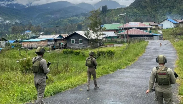 Patroli Intensif Satgas Damai Cartenz Amankan Distrik Sinak
