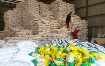 Warga Aceh Diminta Tenang, Bulog Pastikan Stok Pangan Melimpah Jelang Lebaran