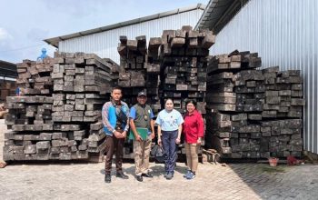 Jaringan Kayu Eboni Ilegal Maluku–Surabaya Terungkap