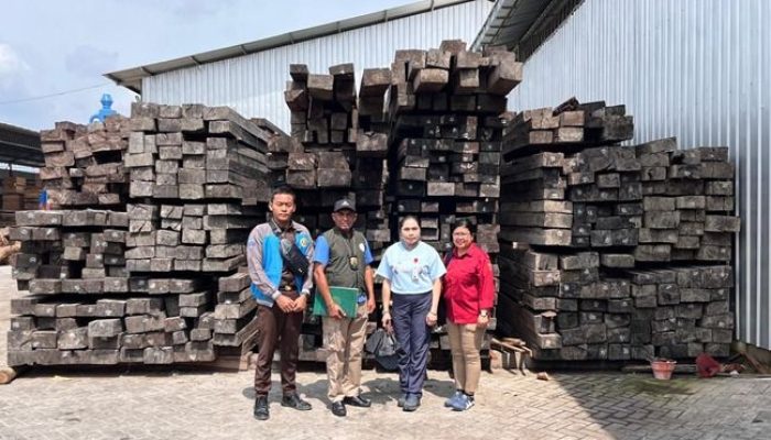 Jaringan Kayu Eboni Ilegal Maluku–Surabaya Terungkap