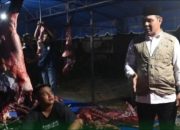 Syech Muharram Tinjau Pemotongan Sapi Meugang Bantuan Presiden