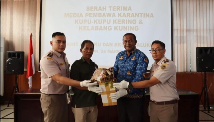 Karantina Maluku Gagalkan Pengiriman 900 Satwa Liar