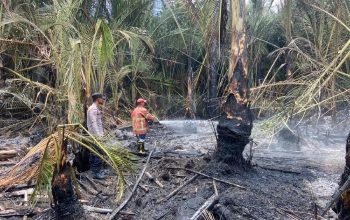 BPBD Waspadai Karhutla, Dua Hektare Lahan di Montasik Terbakar
