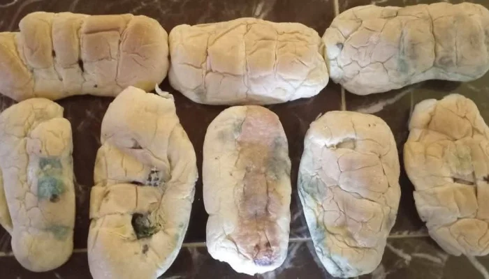 Roti Berjamur dalam Program MBG Picu Sorotan Keamanan Pangan