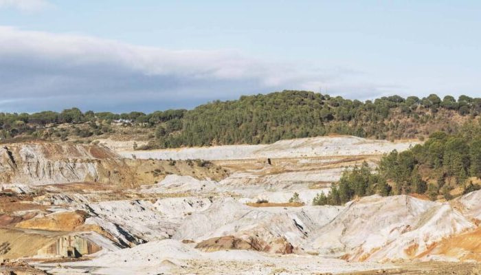 Inovasi Dosen IPB Hijaukan Lahan Bekas Tambang