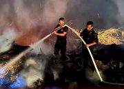 Gerak Cepat Brimob Padamkan Kebakaran Kayu Sisa Banjir
