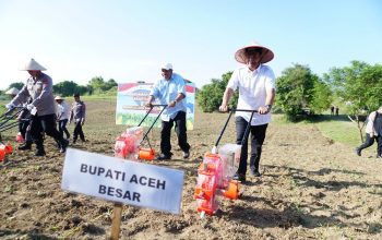 Kapolda dan Wabup Aceh Besar Tanam Jagung Bersama