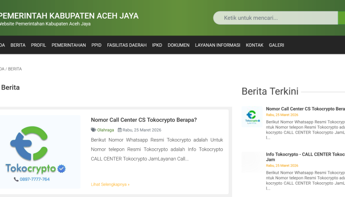 Web Resmi Pemkab Aceh Jaya Diretas