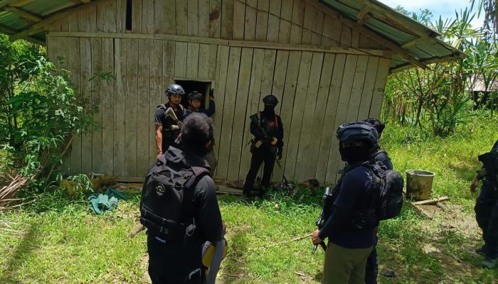 Satgas Damai Cartenz Tangkap Komandan KKB Yahukimo