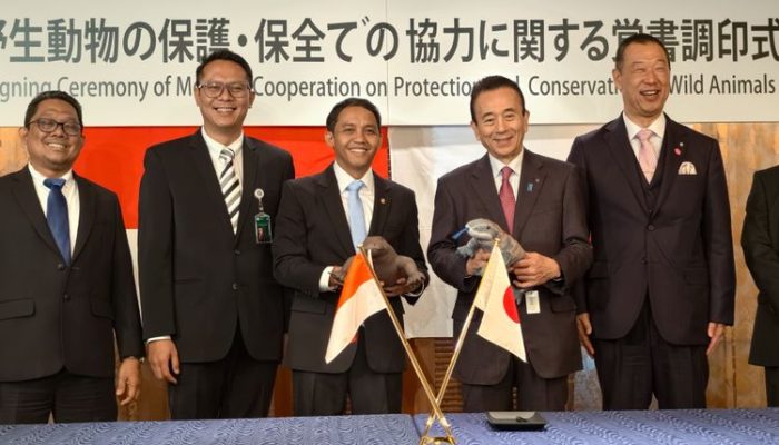 Indonesia–Jepang Teken MoU Konservasi Komodo Global
