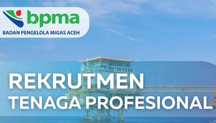 BPMA Buka Rekrutmen Tenaga Profesional 2026 untuk 7 Bidang Strategis, Cek Syaratnya!