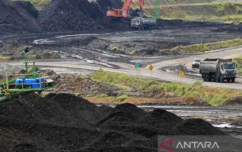 Ekspor Aceh Melonjak 35 Persen, Batu Bara Dominasi