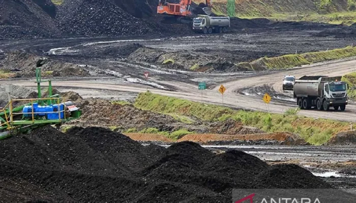 Ekspor Aceh Melonjak 35 Persen, Batu Bara Dominasi