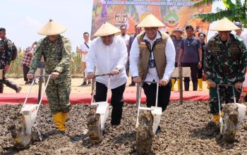 Kopassus Turun Tangan, Blora Disiapkan Jadi Lumbung Jagung Nasional